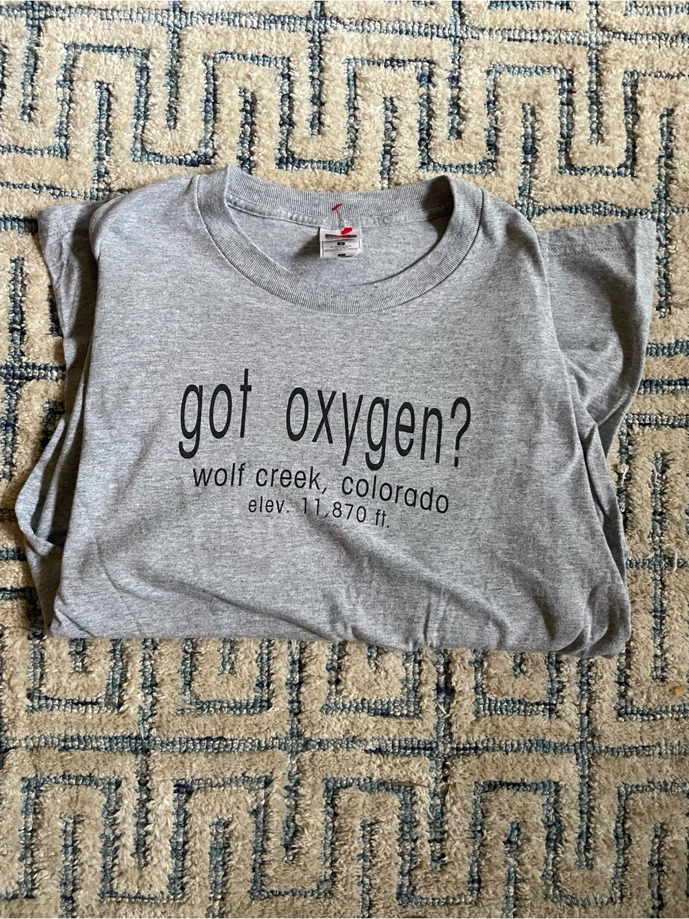 Fruit of the Loom Gray 'got oxygen?' Kids T‑Shirt